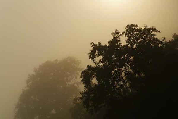 Pancake Parkour Game